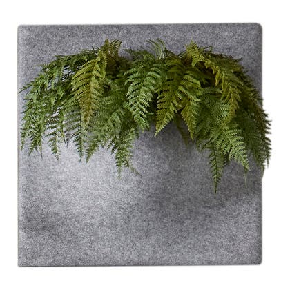 Ljudabsorbent PlantPanel 58x58x21 cm