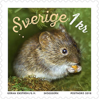 Tilläggsfrimärke Skogssork 1 kr
